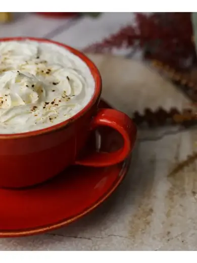 Набор чайных пар Porland Seasons 340 мл (4 предмета), красный