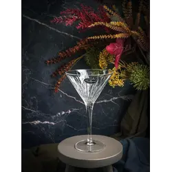 Бокал для мартини, h 17,2 см,d 10,4 см, 215 мл, Mixology