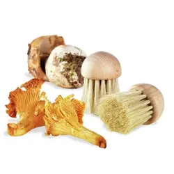 Щетка для чистки грибов d=4 см. щетина h=3,5 см. деревянная Tellier /1/22/