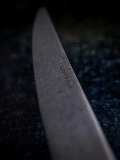 Нож столовый COMAS, Canada M 18% Vintage, 23,3 см