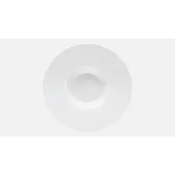 Тарелка глубокая с широкими полями 300 мл, d 30 см, h 5,5 см, Connect