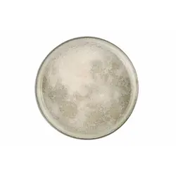 Тарелка с вертикальным бортом, PORLAND, STONEWARE SELENE, 30 х 2,2 см