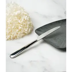 Нож столовый Hisar, Barcelona, 24 см, 18/10