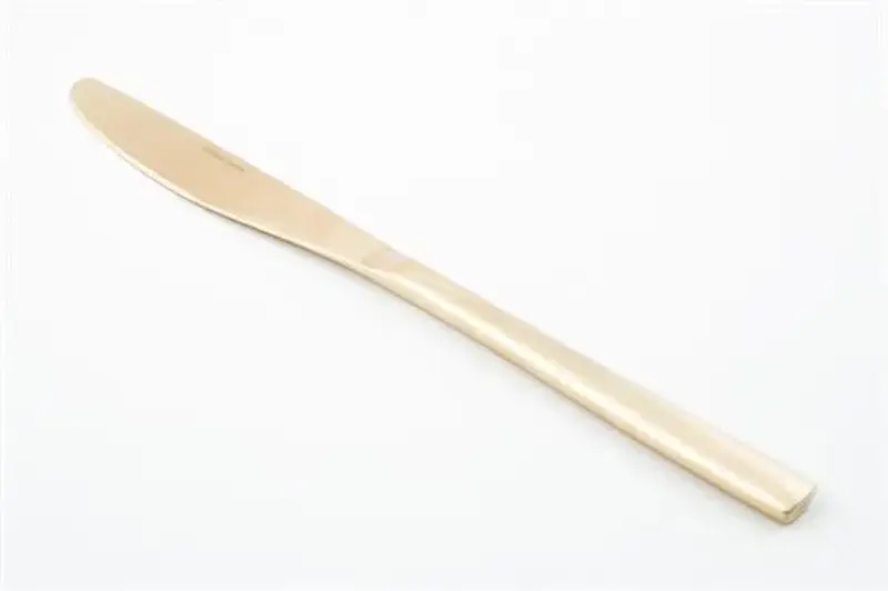 Нож столовый шампань, COMAS, BCN COLORS 18% CHAMPAGNE, 22 см 