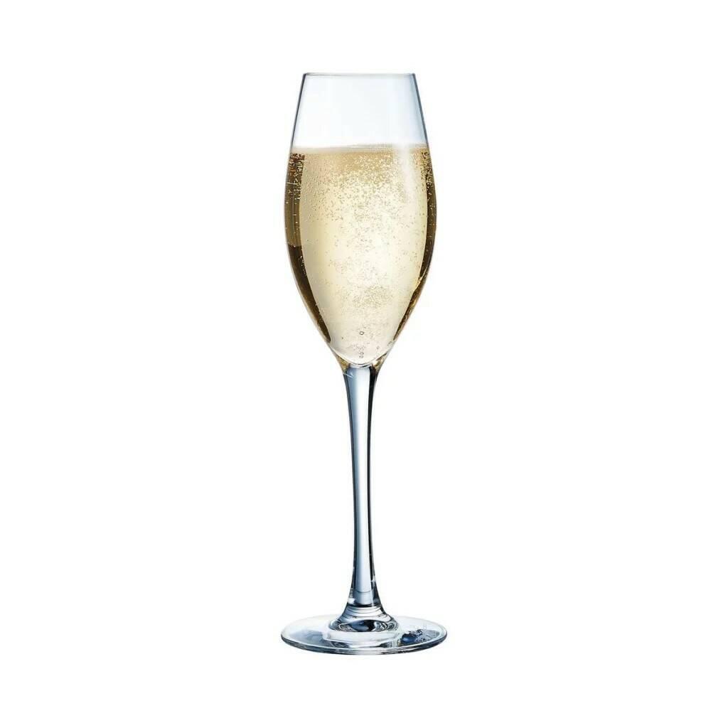 Бокал-флюте для шампанского, "Сиквенс",  Chef&Sommelier, Sequence 240 мл  d 6.9 см h23,5 см